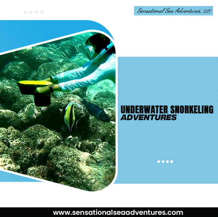 Underwater Snorkeling Adventure