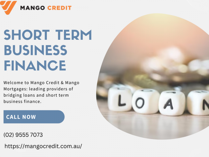 Contact Mango Credit for Short Term Business Finance