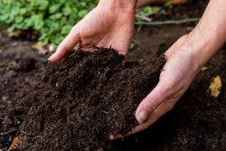 Soil Testing Services in New Jersey