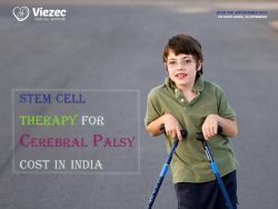 Stem Cell Treatment for Cerebral Palsy Cost India