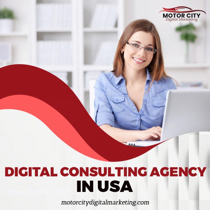Strategic Growth Unleashed: Elevate Your Business with Expert Digital Consulting Agency in USA