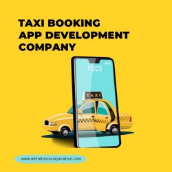 On-Demand Taxi Booking App Development- Washington DC