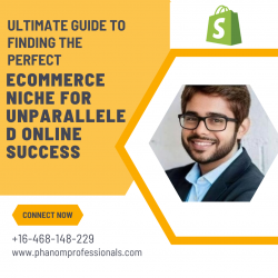 The Best Ecommerce Niche for Online Success