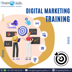 Top Digital Marketing Training Institute in Noida at ShapeMySkills