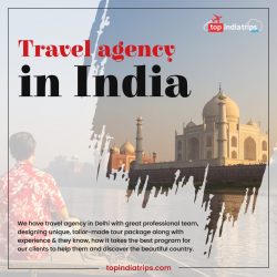 Find The Best Travel Agency in India – Reach Top India Trips