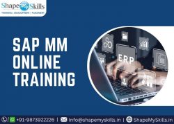 Top SAP MM Online Training at ShapeMySkills
