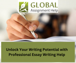 Best essay writing help in the USA