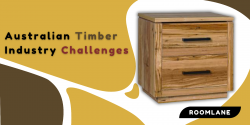 AN OVERVIEW OF THE AUSTRALIAN TIMBER INDUSTRY AND ITS CHALLENGES