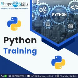 Upgrade Your Career in Python at ShapeMySkills