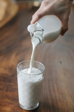 Milk Processing: How Is Dairy And Vegan Milk Made