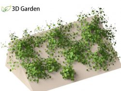 FBX Plants 3D Models Free download