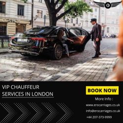 VIP Chauffeur Services in London