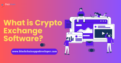 What is Cryptocurrency Exchange Software?