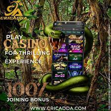 Live Sports Betting | Online Casino Games| Cricadda