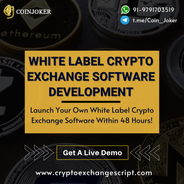 White Label Crypto Exchange Software: A Cost-Effective Solution for Entrepreneurs