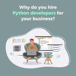 Why do you hire Python developers for your business?