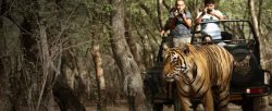 Best Indian Wildlife Tour Packages at Trinetra Tours