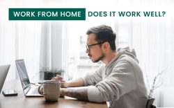 Work from Home. Is it effective?