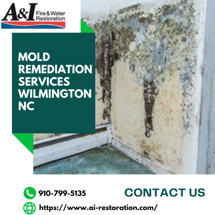 Say Goodbye to Mold: How A&I Fire and Water Restoration Can Help with Mold Remediation in Wi ...