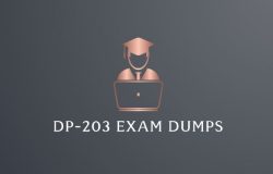 New DP-203 Exam Dumps Before You Take the Test