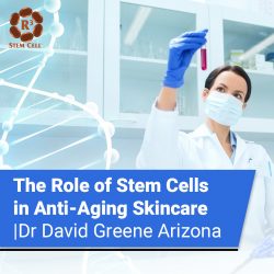 The Role of Stem Cells in Anti-Aging Skincare | Dr David Greene Arizona