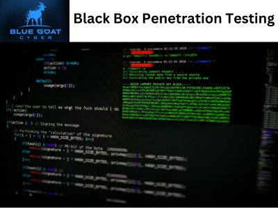 Black Box Penetration Testing: Uncover Vulnerabilities With Blue Goat Cyber