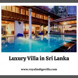 Luxury Villa in Sri Lanka