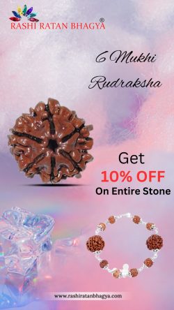 Get 10% off 6 Mukhi Rudraksha Online from Rashi Ratan Bhagya