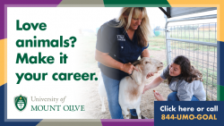 Love animals? Make it your career