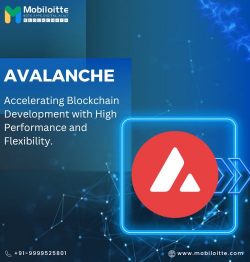 Avalanche Blockchain Development Services