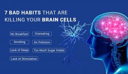 Habits that Damage Your Brain