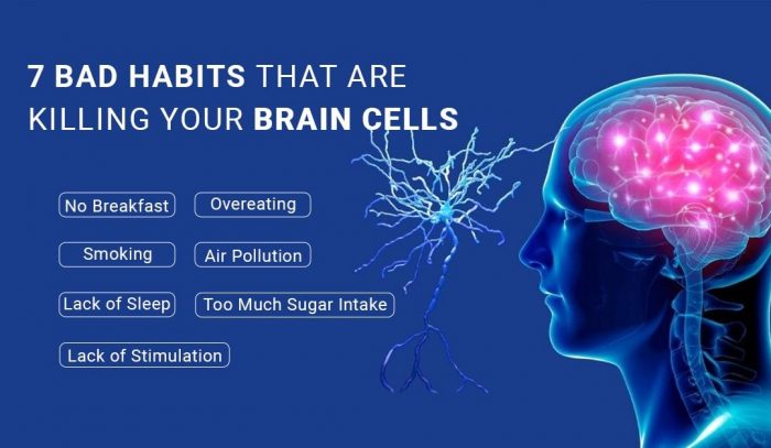 Habits that Damage Your Brain