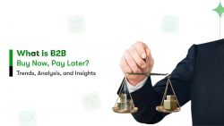 What is B2B BNPL(Buy Now, Pay Later) Solution & How it works!