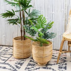 Artstory Offers Indoor Plant Pots Online
