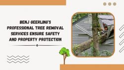 Benj Geerling’s Professional Tree Removal Services Ensure Safety and Property Protection