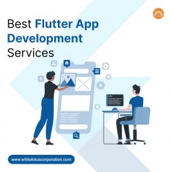 Top Best Expert Flutter App Development company