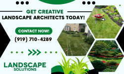Get a Complete Landscaping Solution with Our Experts!