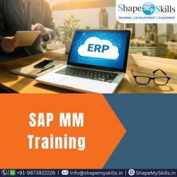 Best SAP MM Training Institute in Delhi at ShapeMySkills