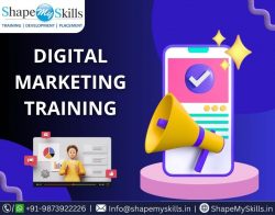 Best Way to Grow Your Future in Digital Marketing at ShapeMySkills
