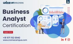 Business Analyst Course with Placement