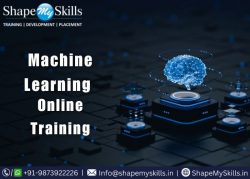 Career Growth with Machine Learning Online Training at ShapeMySkills