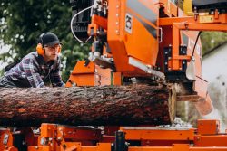 Emergency Tree Removal in Sydney | Universal Tree Care