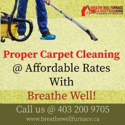 Carpet Cleaning Service NE Calgary : 5 Common Types of Carpet Stains