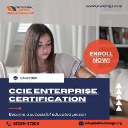 CCIE Enterprise training – Enroll now