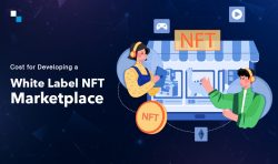 How Much Does it Cost to Develop a White Label NFT Marketplace in 2023?