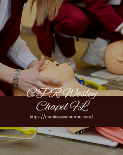 Select The Best And Top Classes For CPR Wesley Chapel FL