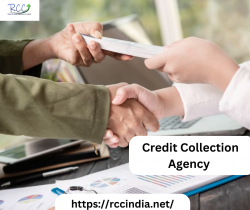 Credit Collection Agency | RCC India