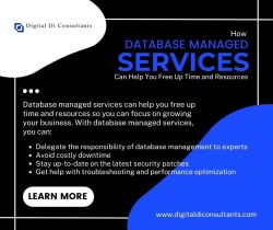 Database Managed Services Can Help You Free Up Time and Resources