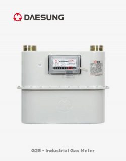 The Ultimate Solution — Diaphragm Gas Meter