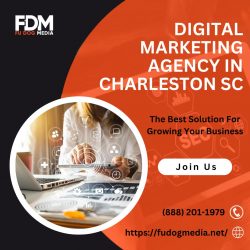 Unlocking Success: Fu Dog Media – The Leading Digital Marketing Agency in Charleston, SC